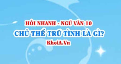 Chủ thể trữ tình là gì? Ngữ Văn lớp 10